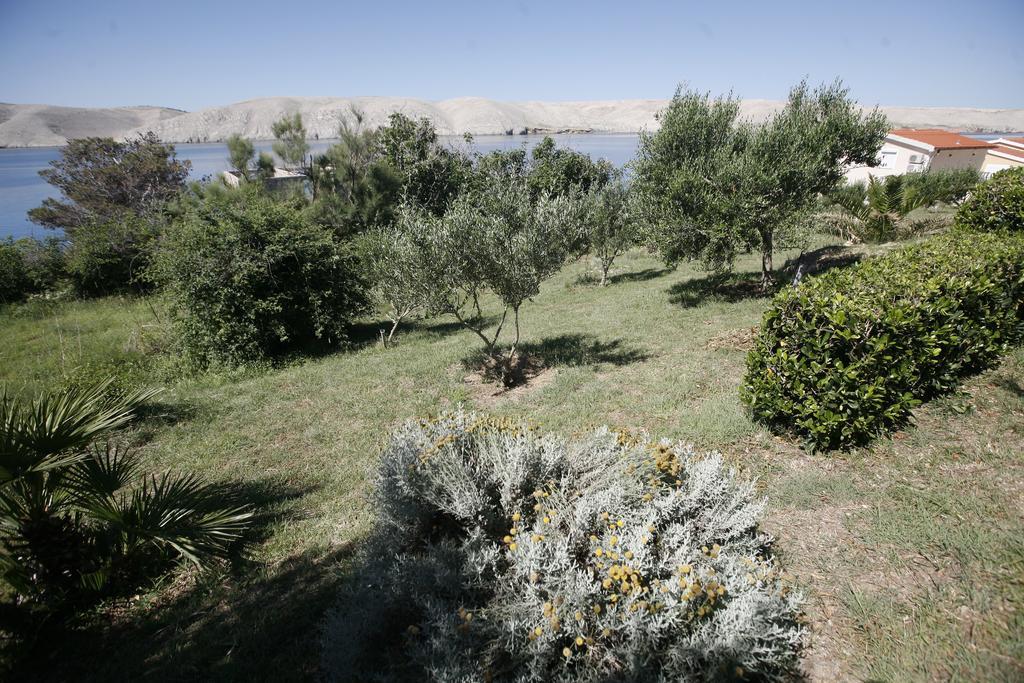 Apartments Roza Miškovići Bagian luar foto