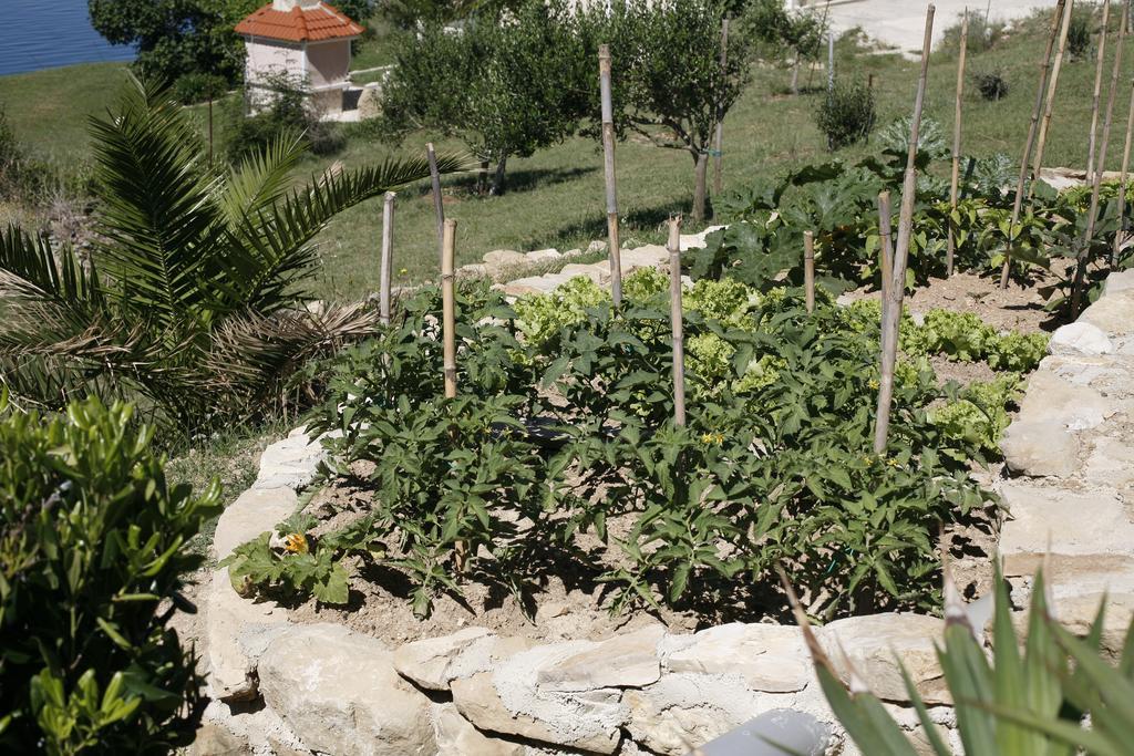 Apartments Roza Miškovići Bagian luar foto